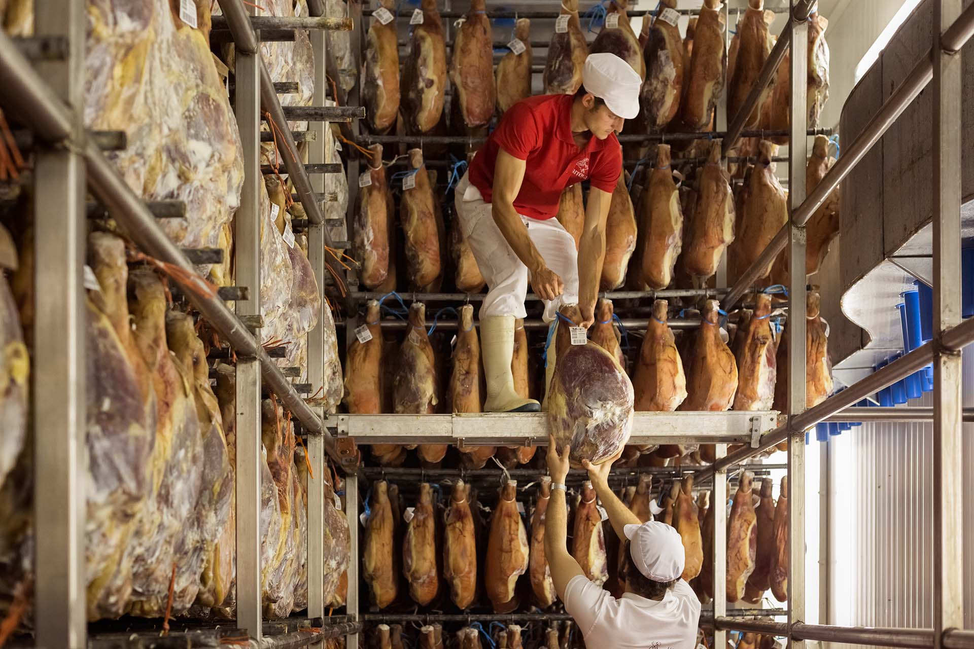 El postsalado moderno