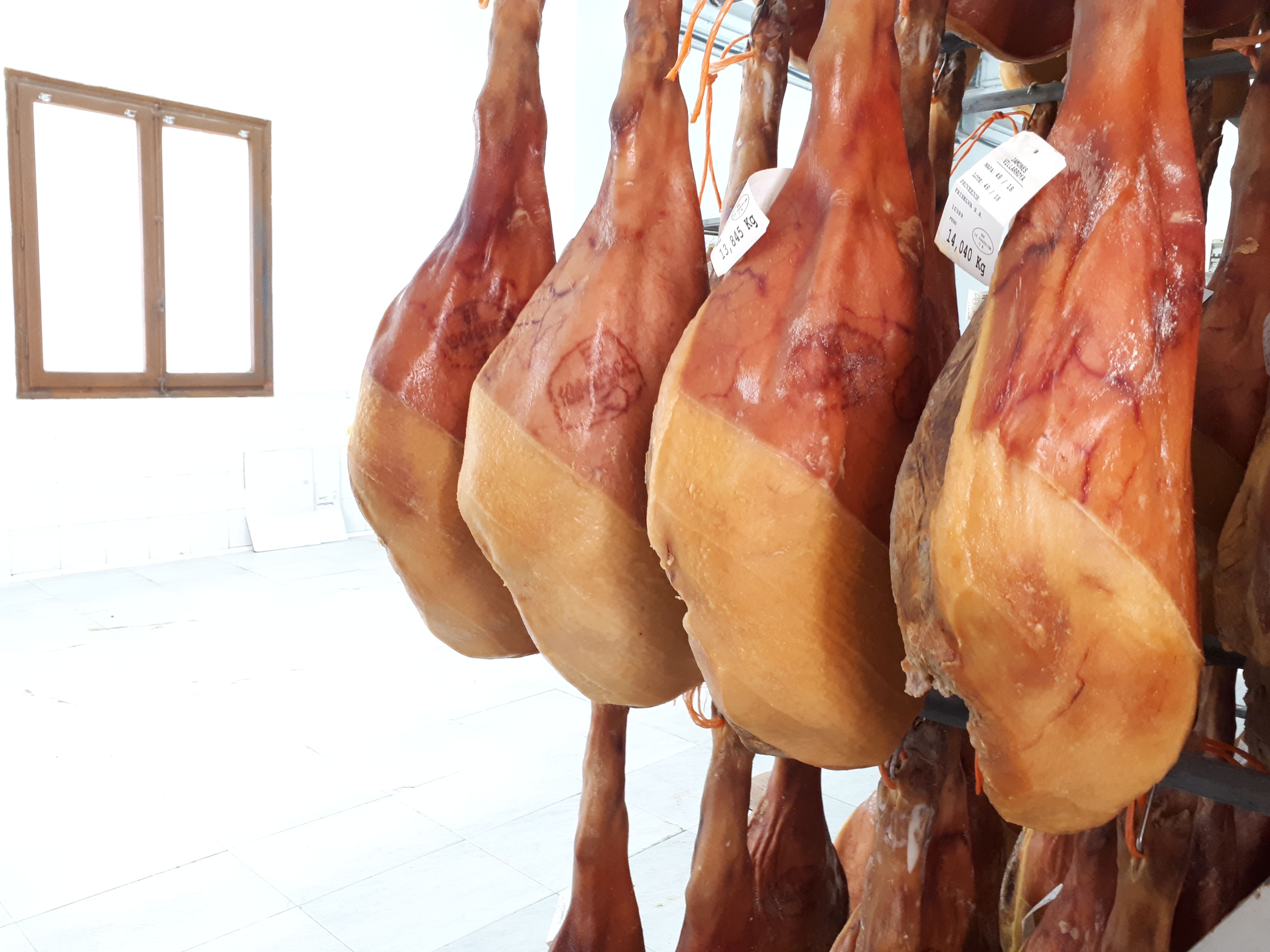 Jamones curando en el secadero